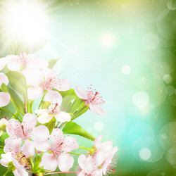 Similar image 10868056