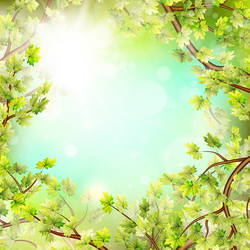 Similar image 10868057