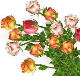 Similar image 10868063