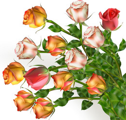 Similar image 10868082