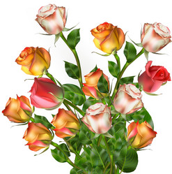 Similar image 10868083