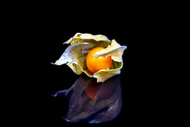 Similar image 10863472