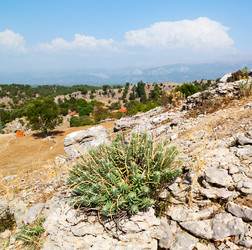 Similar image 10883197