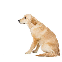 Similar image 10866373