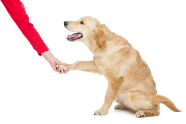 Similar image 10866374