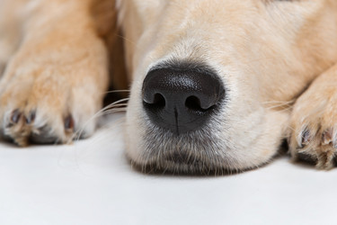 Similar image 10866375