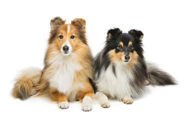 Similar image 10866379