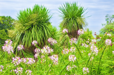 Similar image 10863803