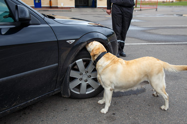 Similar image 10876871