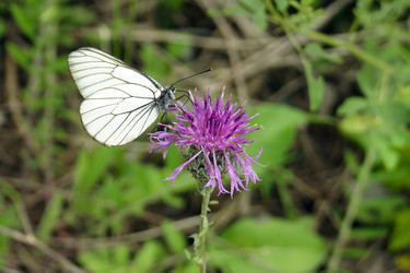 Similar image 10863514