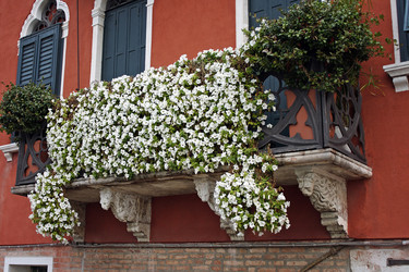 Similar image 10863518