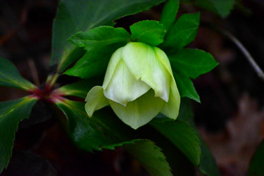 Similar image 10863262