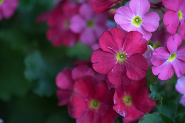 Similar image 10867736