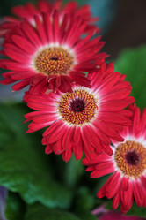 Similar image 10867737