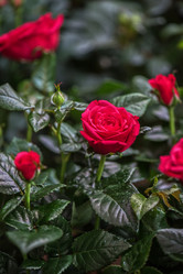 Similar image 10867738