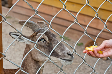 Similar image 10878550