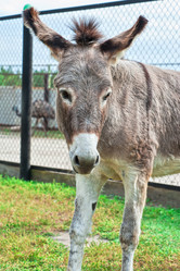 Similar image 10878577