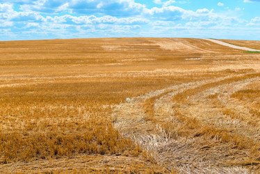 Similar image 10873416