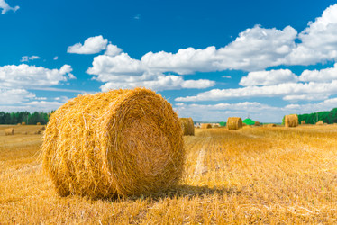 Similar image 10873417