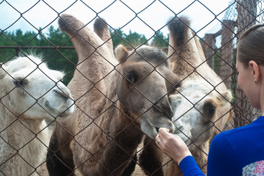 Similar image 10878602