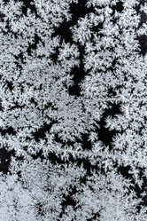 Similar image 10867011