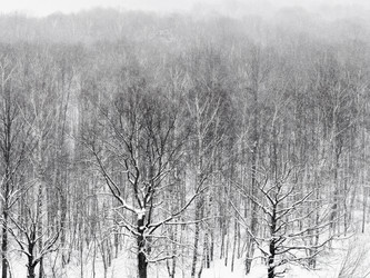 Similar image 10867016