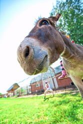 Similar image 10867740