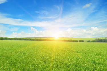 Similar image 10864575