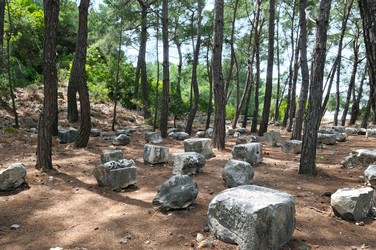 Similar image 10864577