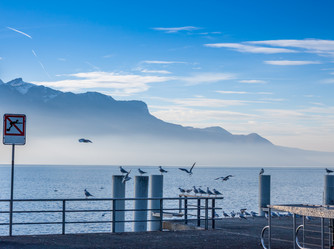 Similar image 10866106