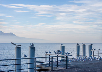 Similar image 10866107