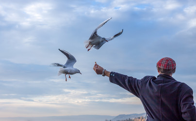 Similar image 10866111