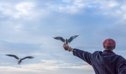 Similar image 10866112