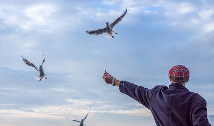 Similar image 10866113