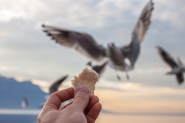 Similar image 10866114