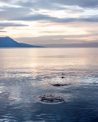 Similar image 10866115