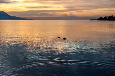 Similar image 10866116