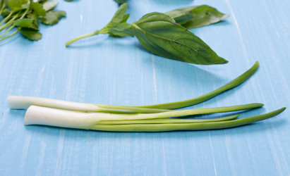 Similar image 10865853