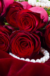 Similar image 10865127