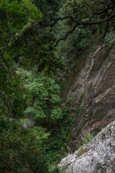 Similar image 10863763