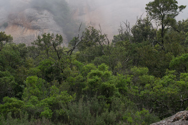 Similar image 10863768