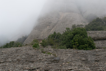 Similar image 10863769