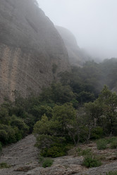 Similar image 10863772