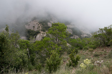 Similar image 10863774