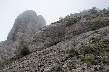 Similar image 10863775