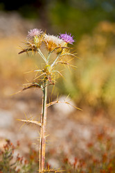 Similar image 10884895