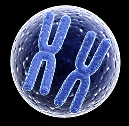 Similar image 10864600