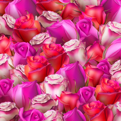 Similar image 10868027