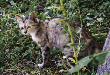 Similar image 10866026