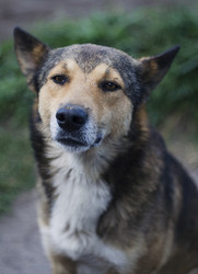 Similar image 10866027